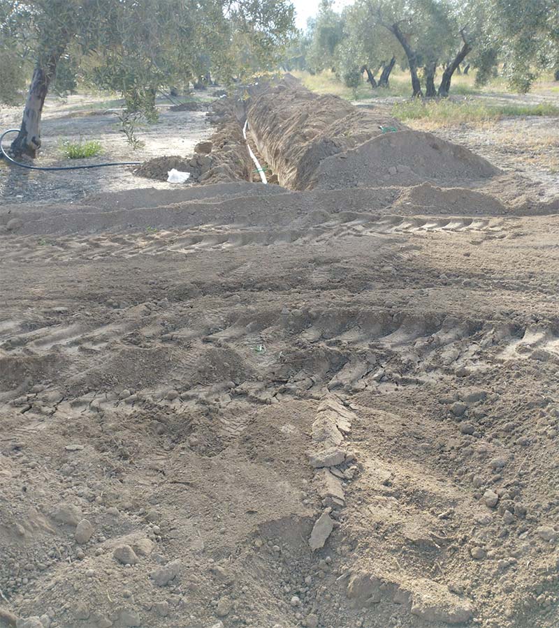 Instalaciones para Olivar